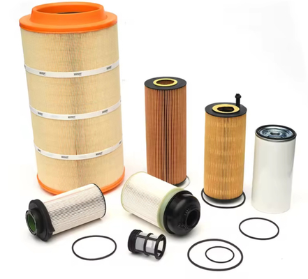 Oxygen Filter Custom H13 H14 Hepa Deep Pleated Filter Hepa Filter Mushrooms 13177871224